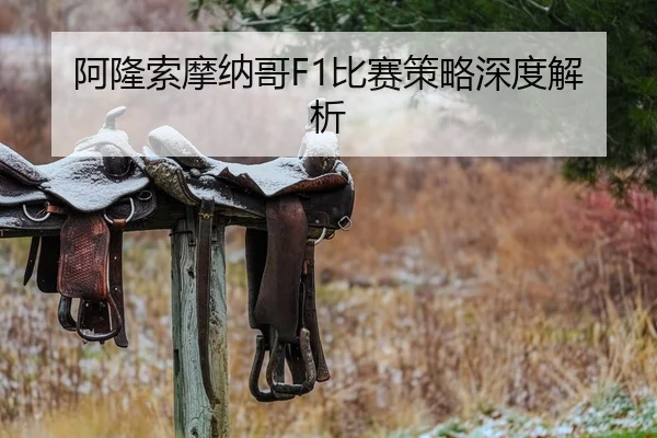 a-long-suo-mo-na-ge-bi-sai-ce-lve-shen-du-jie-xi-2-185.jpg